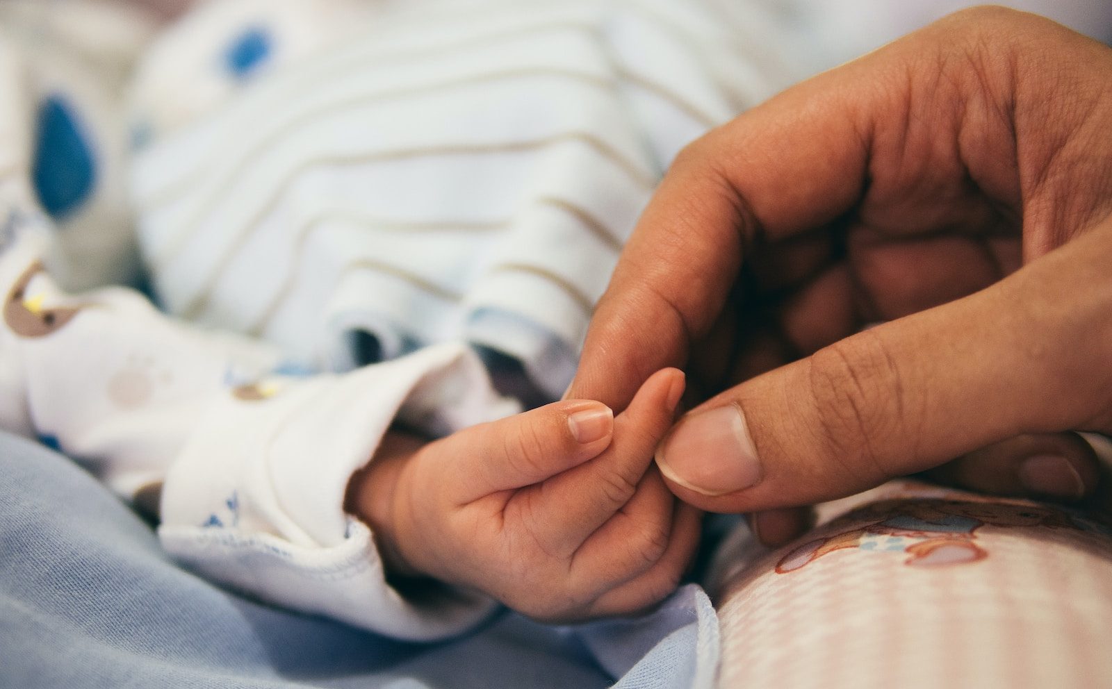 person holding baby's index finger