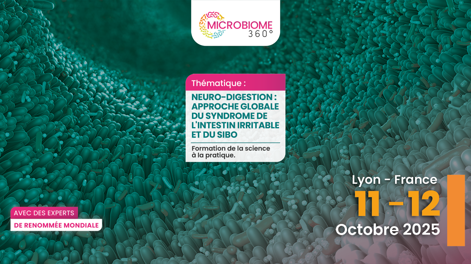 Microbiome 360° : Pour approfondir la santé du ventre et de l’esprit