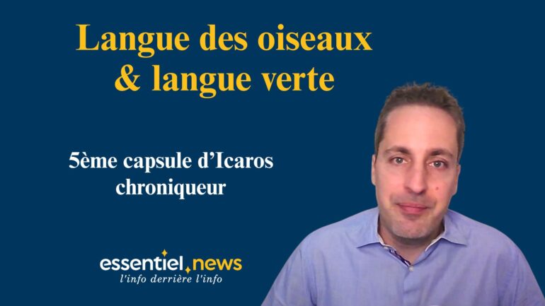 Les mots subliminaux: l’homophonie, les anagrammes, et leur influence inconsciente