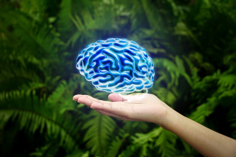 Comprendre et déjouer les mécanismes de la peur