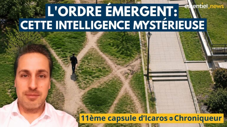 La raison profonde et mystérieuse pour laquelle la liberté fonctionne mieux