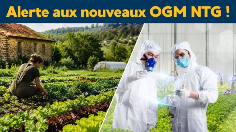 NTG: nouvelle menace OGM sur l’Europe. #1La trahison des eurodéputés