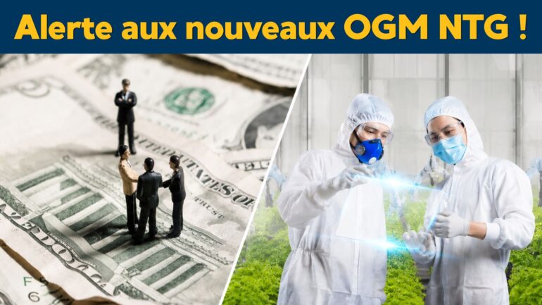 NTG: nouvelle menace OGM sur l’Europe. #2 Les manœuvres du lobby agro-chimique
